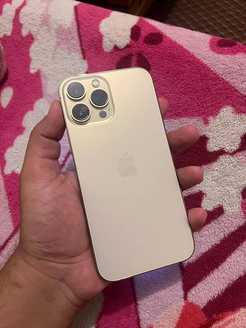 iPhone 13 Pro Max 0
