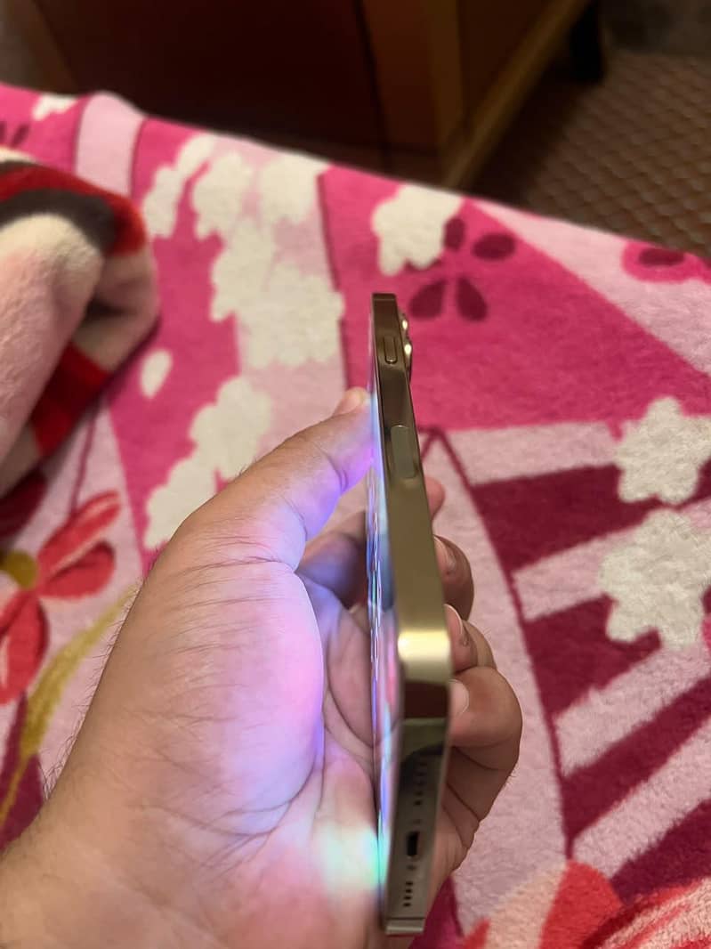 iPhone 13 Pro Max 3