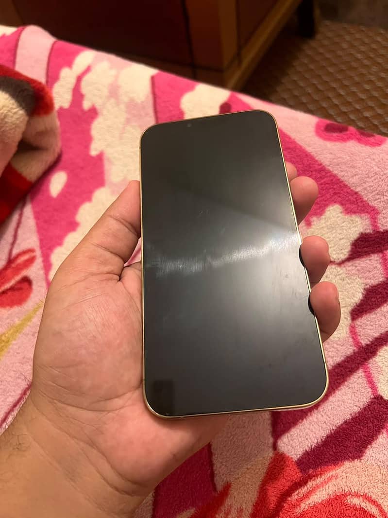 iPhone 13 Pro Max 5