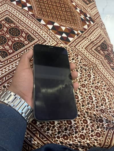 Apple iPhone 12 Pro Max