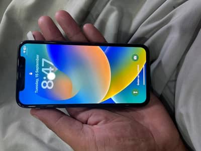 Apple iPhone X