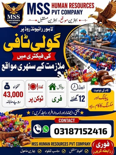 factory packing jobs