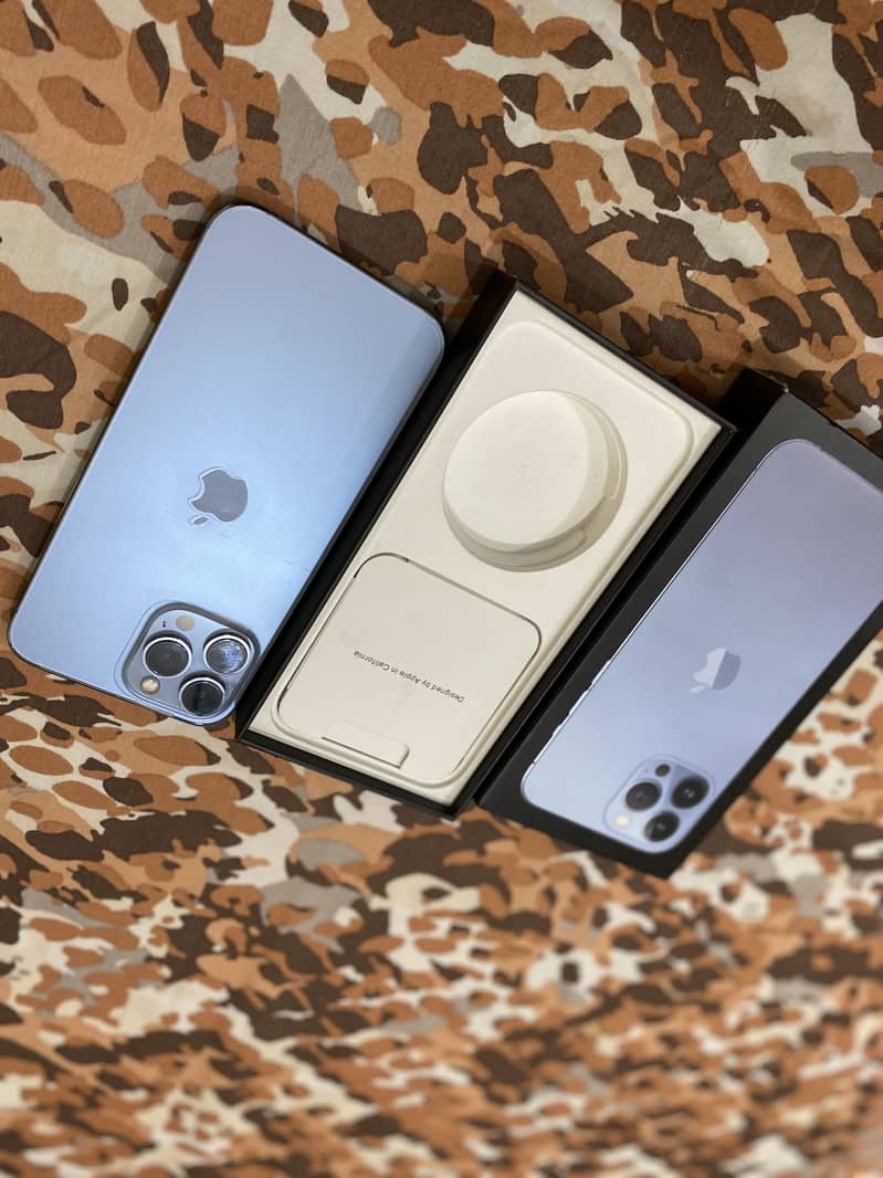Apple iPhone 13 Pro Max 2