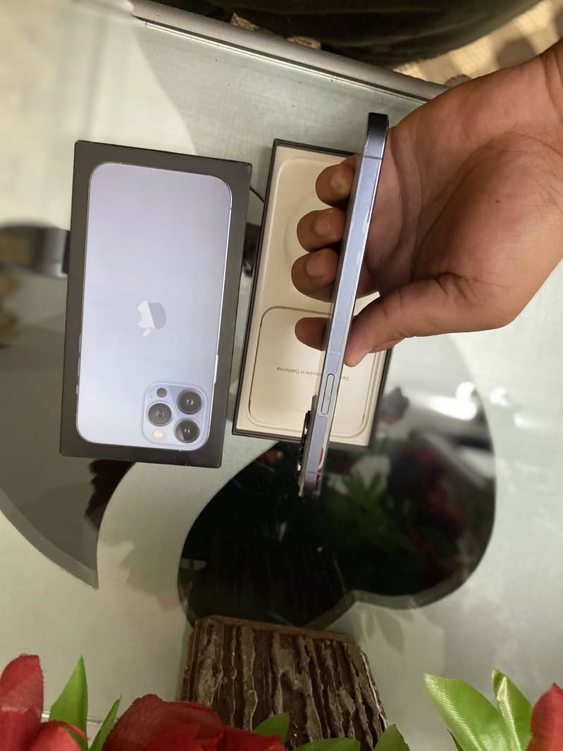 Apple iPhone 13 Pro Max 3