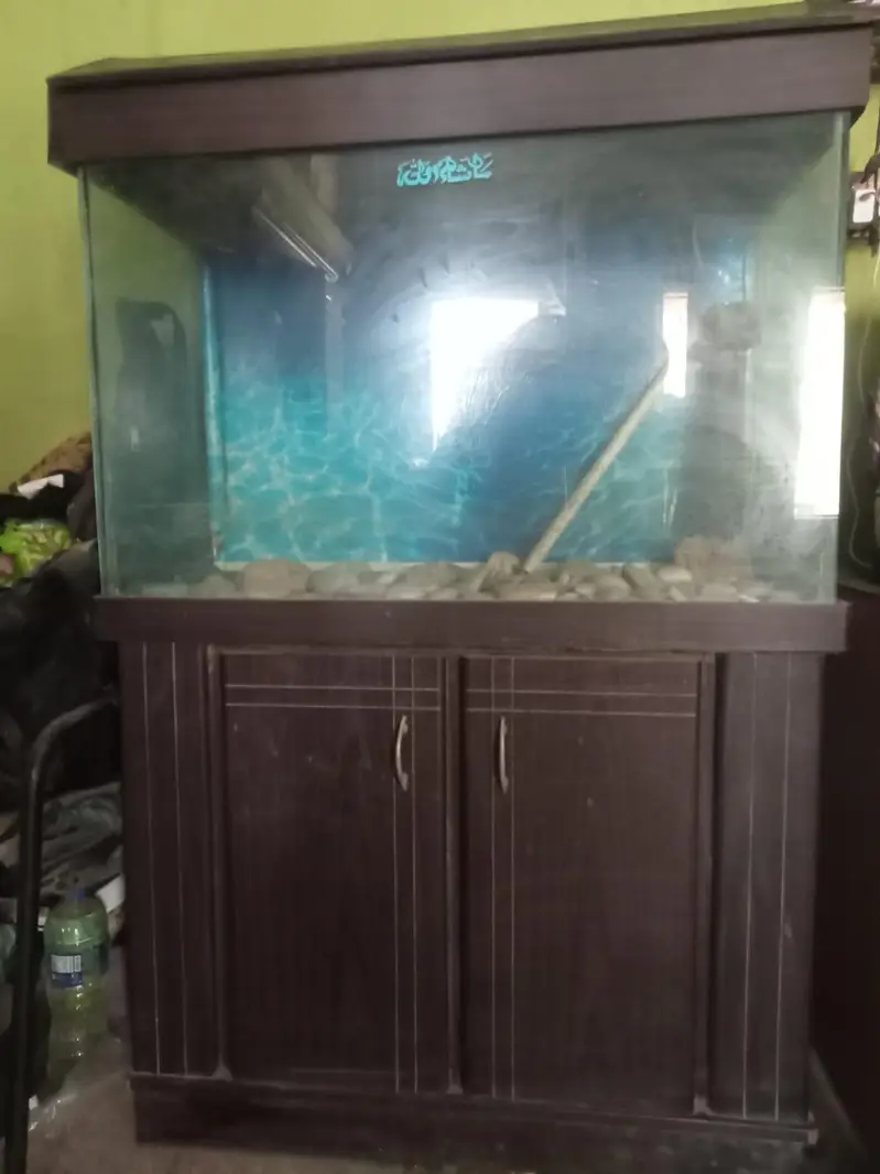 fish aquarium — photo 5
