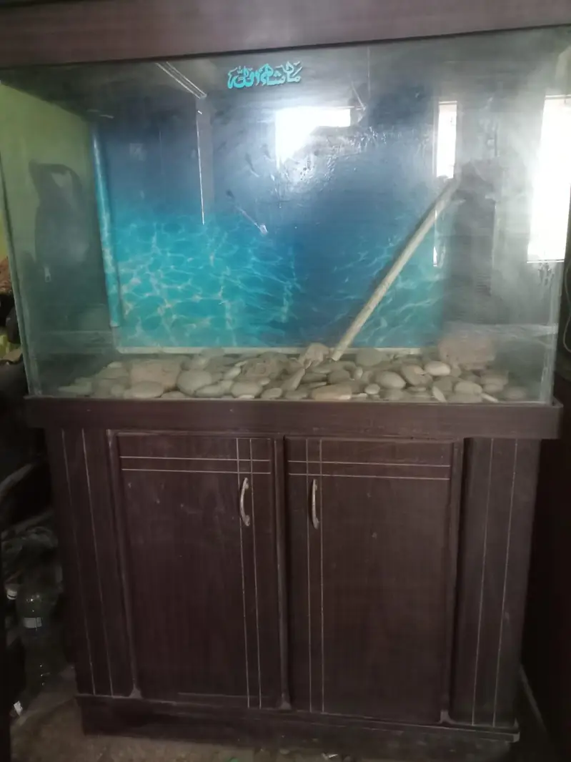 fish aquarium — photo 12