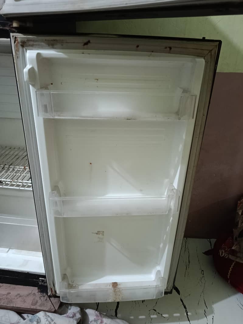 Pel - Medium size 5