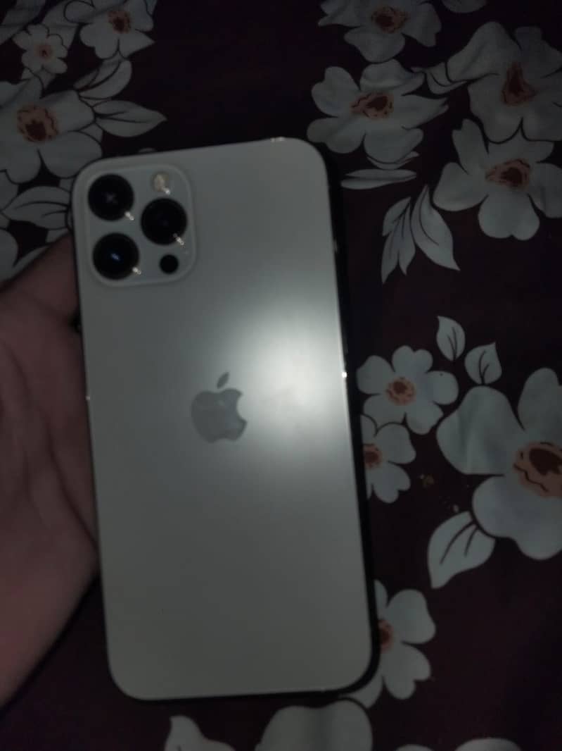 Apple iPhone 12 Pro Max 1
