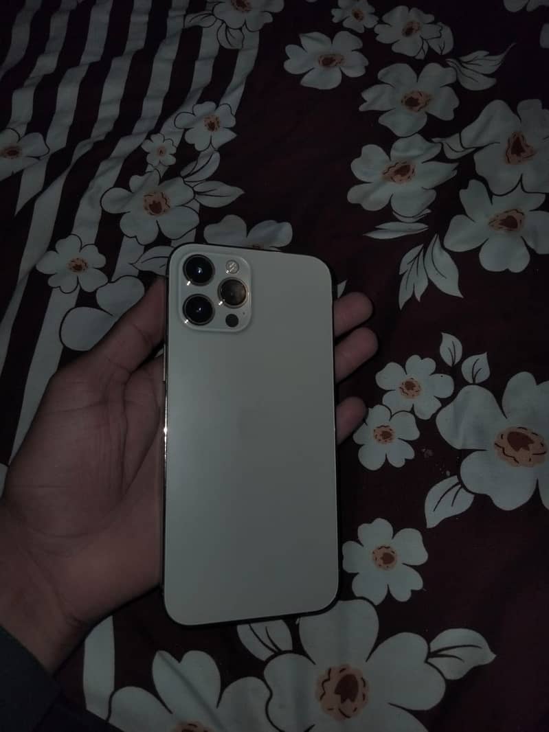Apple iPhone 12 Pro Max 2