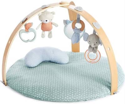 Ingenuity Cozy Spot Reversible Activity Gym & Play Mat - Complete Set