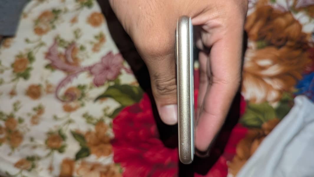 Apple iPhone 8 Plus 1
