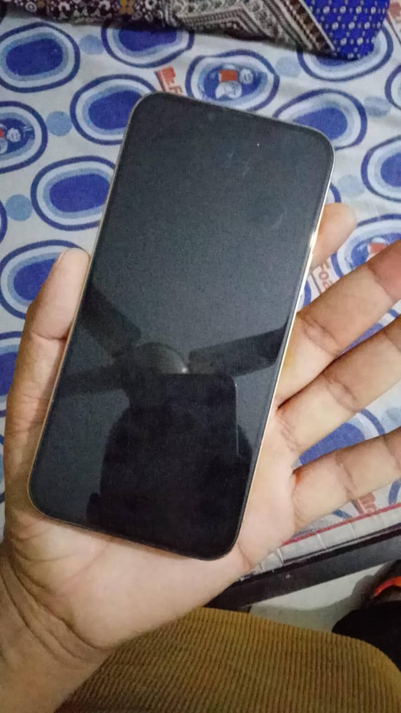 Apple iPhone 13 Pro Max 1