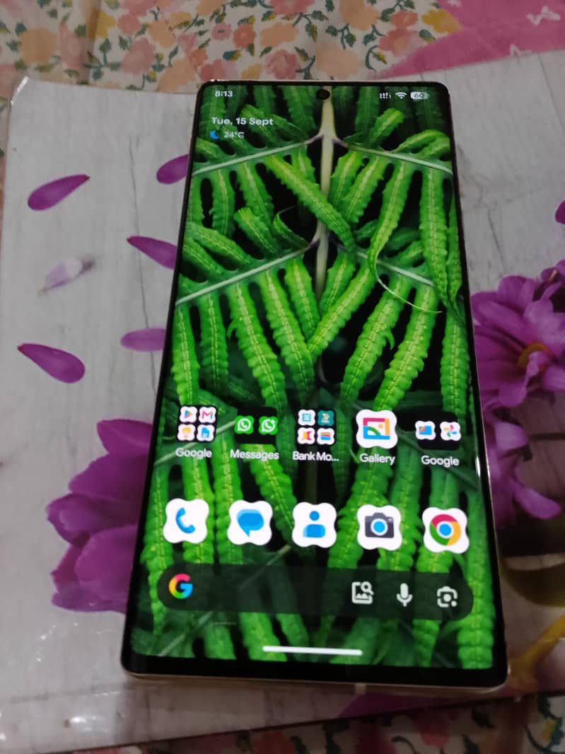 Google Pixel 6 Pro 3