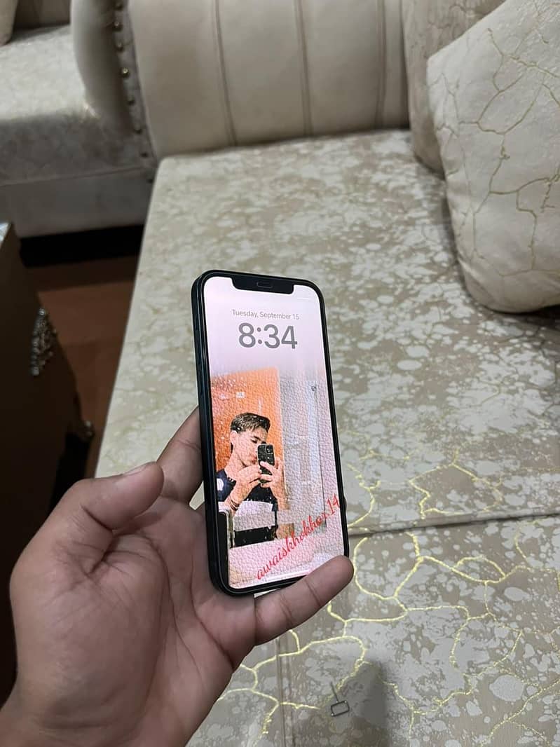 Apple iPhone 12 19