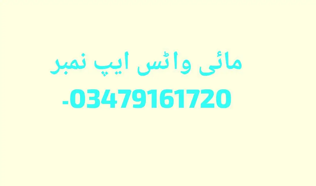 Persian cat for sale 2 month age — photo 3