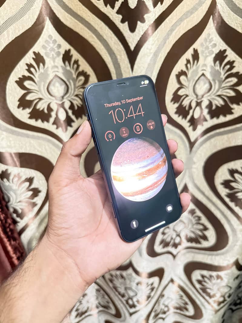 Apple iPhone 12 1