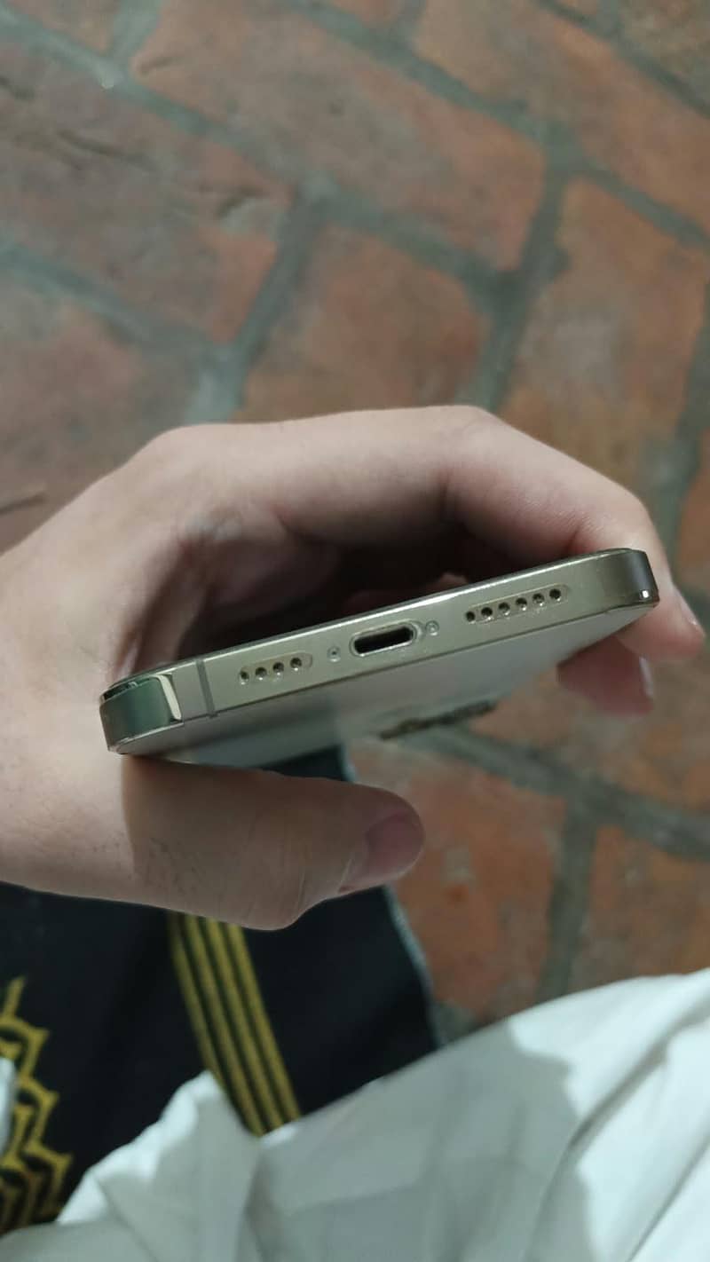 Apple iPhone 13 Pro Max 1