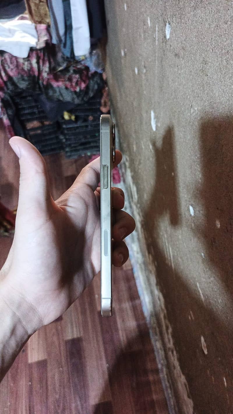 Apple iPhone 13 Pro Max 4