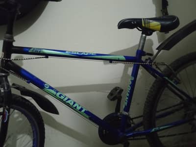 Giant bi cycle good condition used