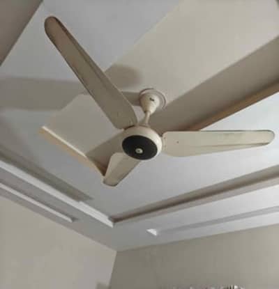 Fan for sale | ceiling fan for sale | SK Fans (5500)