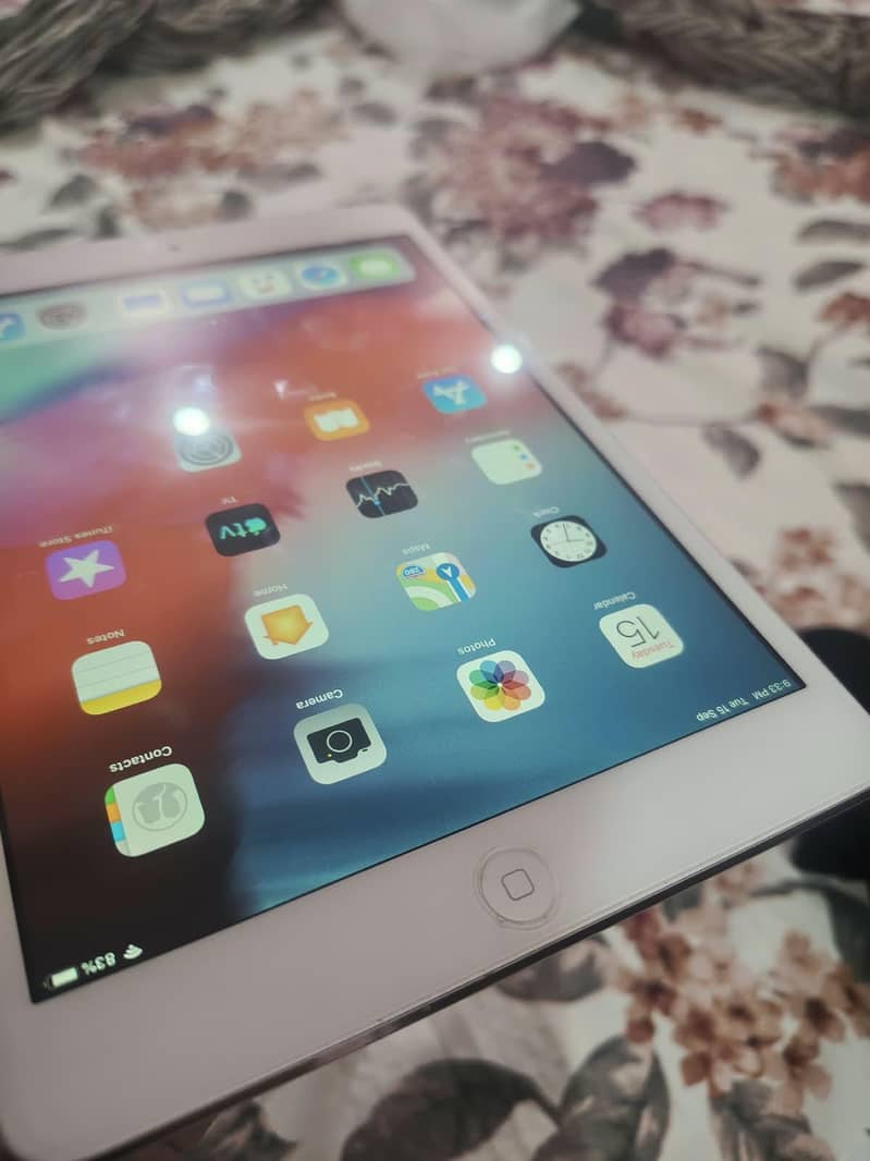 Apple iPad mini 2 1