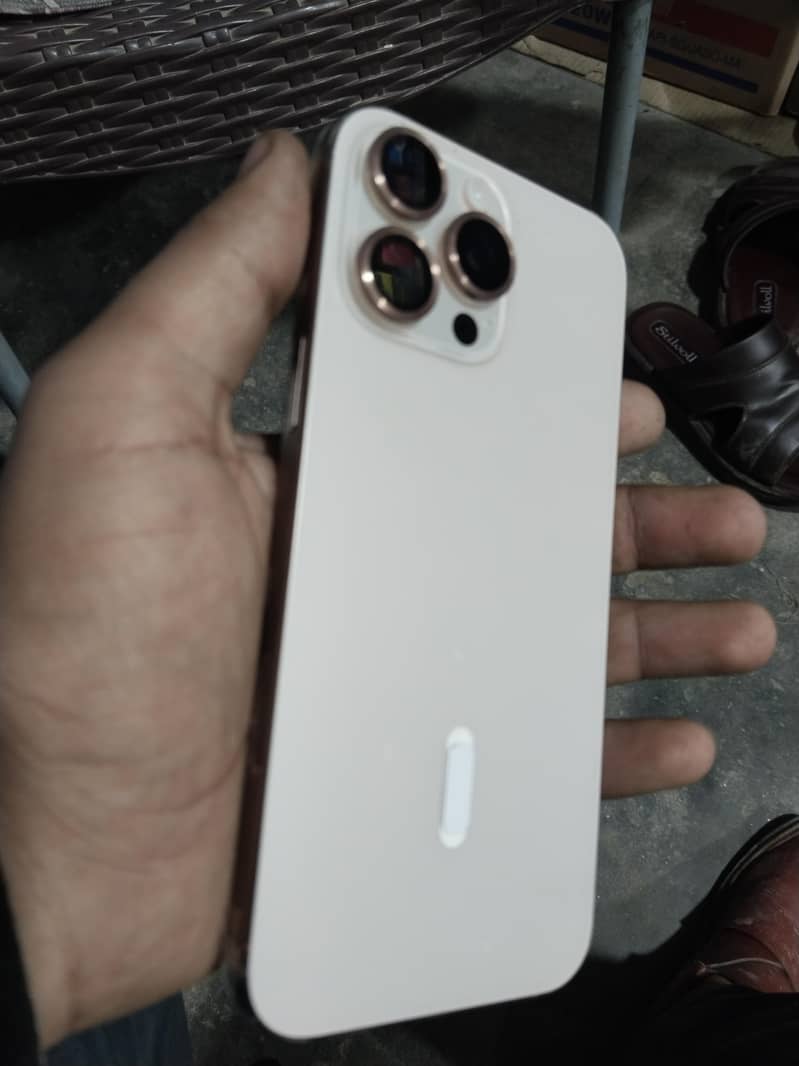 Apple iPhone 16 Pro Max 1