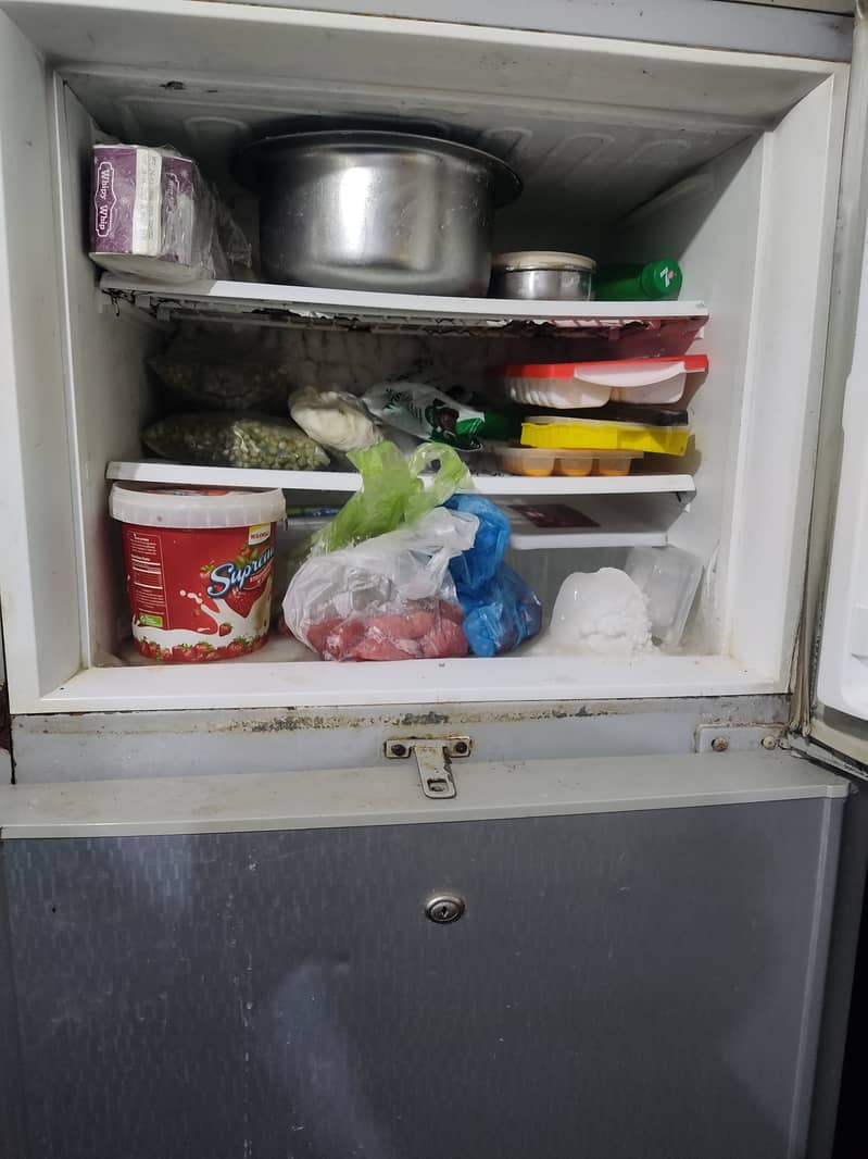 Pel Fridge 2