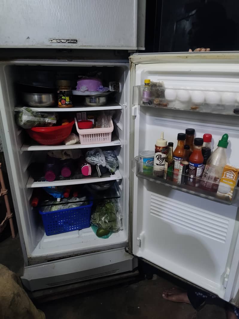 Pel Fridge 4