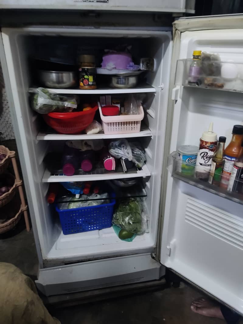 Pel Fridge 5