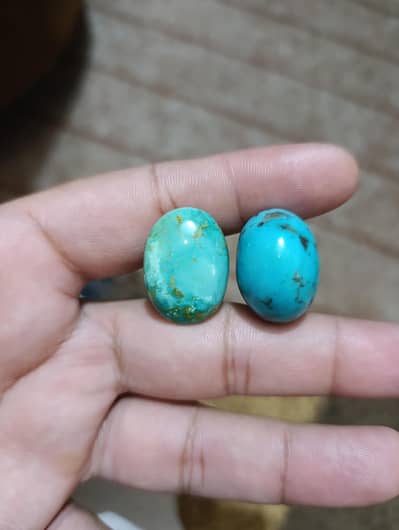 IRANI SHAJRI FEROZA PAIR