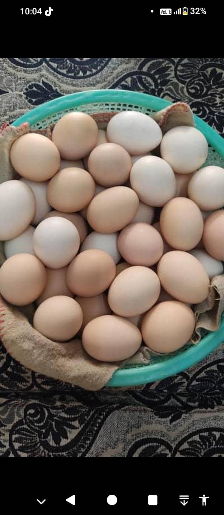 Dasi eggs 0