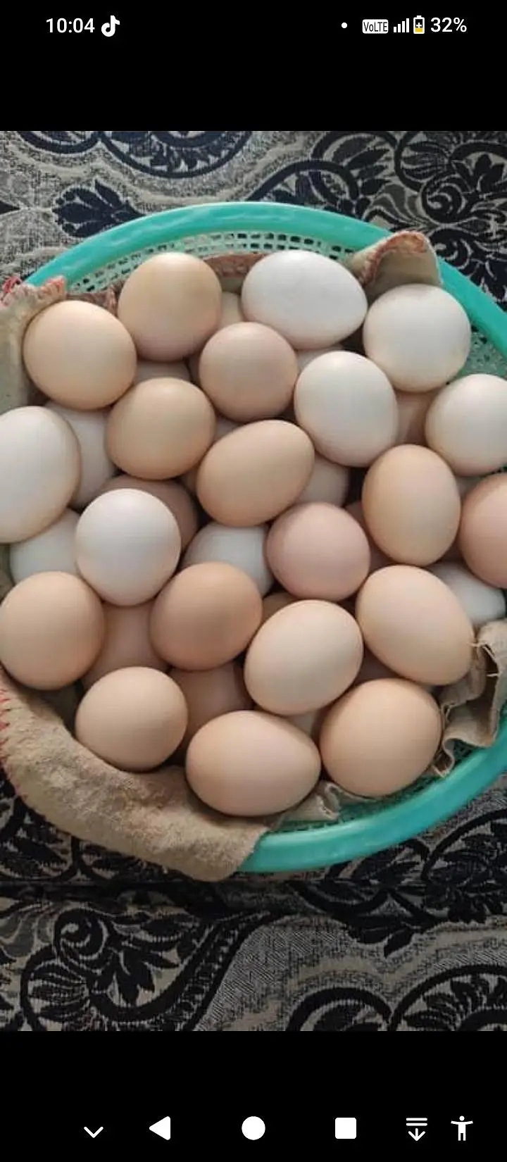 Dasi eggs