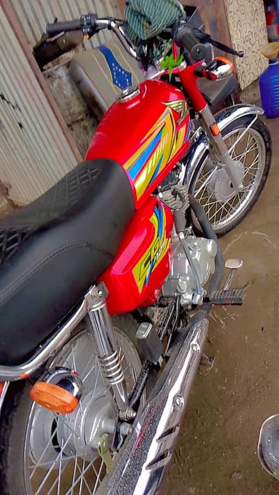 whatapp 03155529260