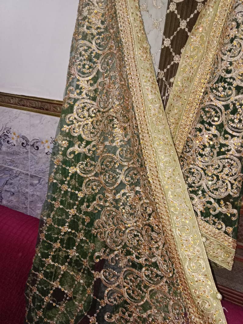 walima maxcy 1