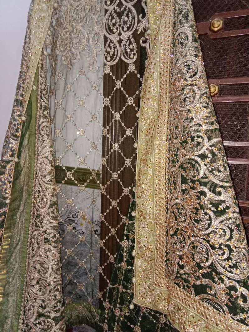 walima maxcy 2