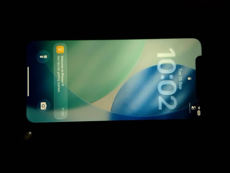 Apple iPhone 11 4