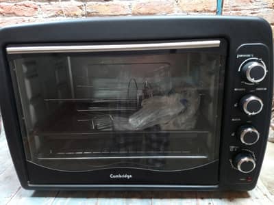 Electric oven