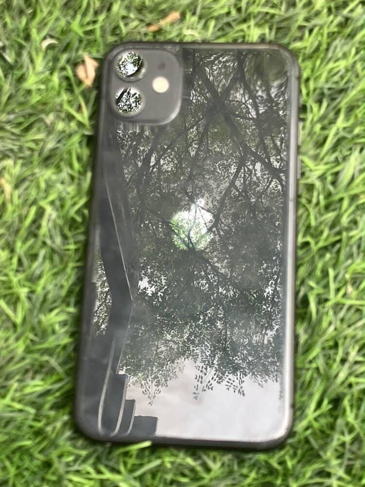 Apple iPhone 11 0