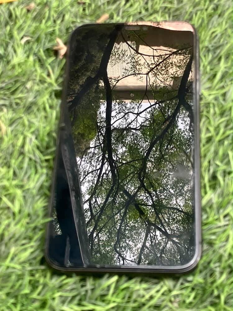 Apple iPhone 11 2