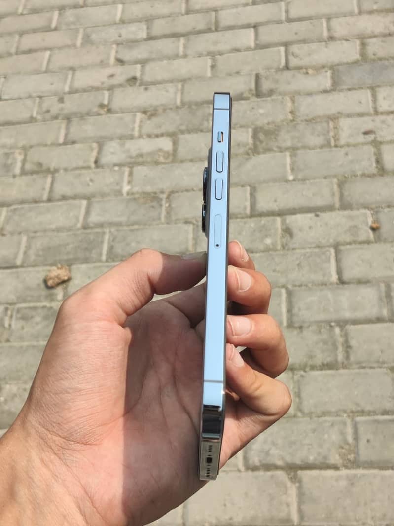 iPhone 13 Pro max 1