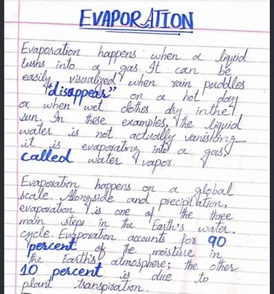 assignment writing (any written work)