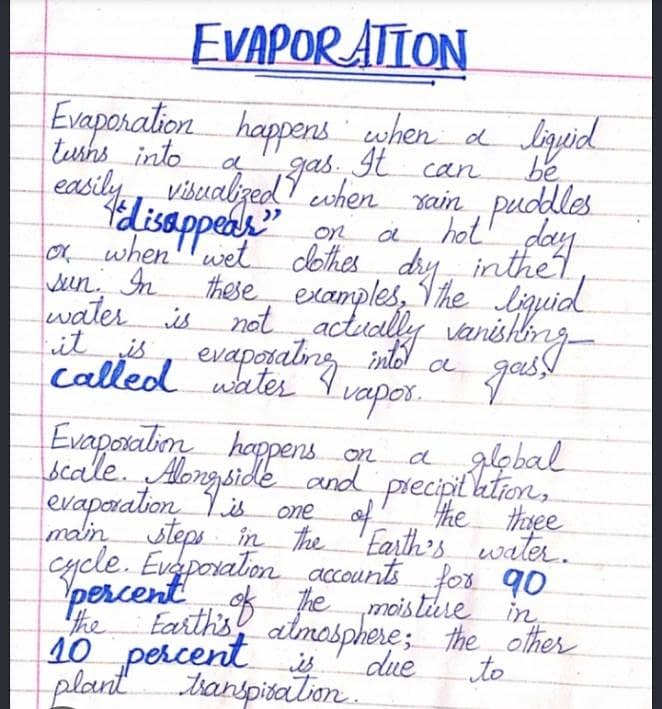 assignment writing (any written work) 0
