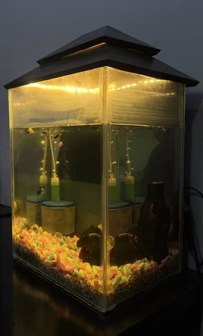 Aquarium for sale