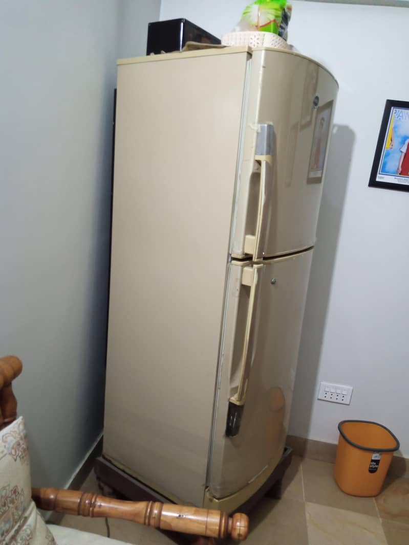 pel fridge 0