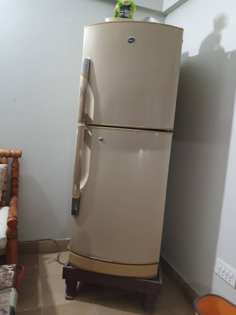 pel fridge 1