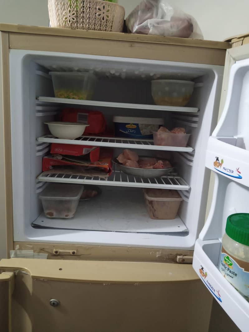 pel fridge 2