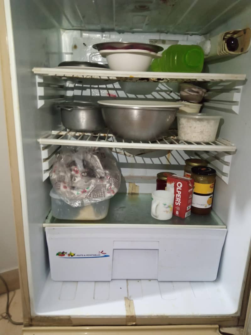 pel fridge 3