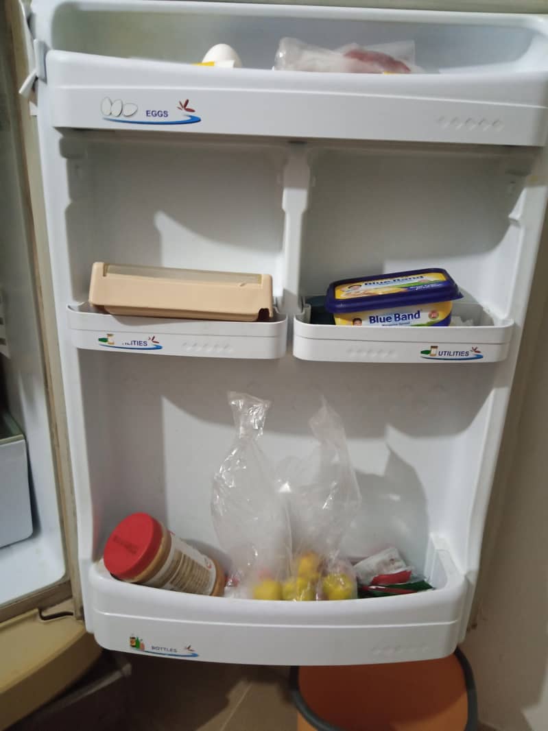 pel fridge 4
