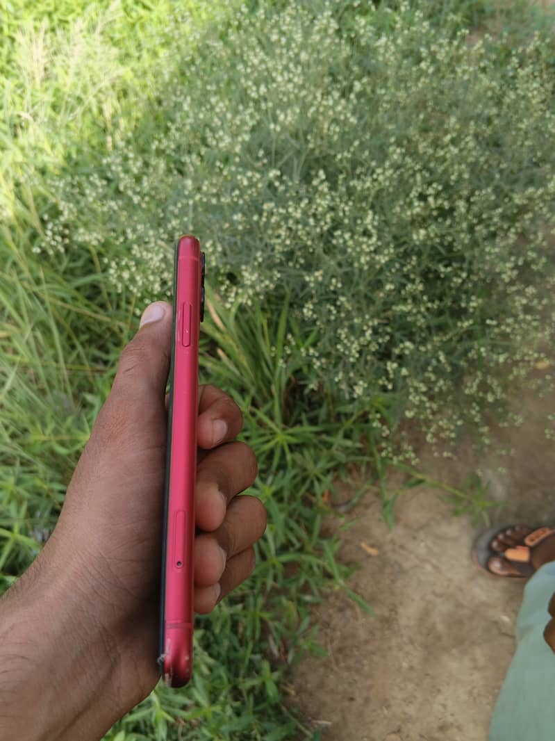 Apple iPhone 11 0