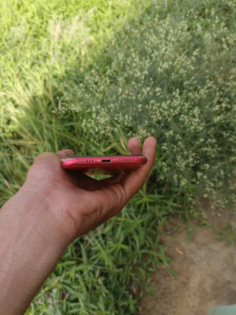 Apple iPhone 11 2